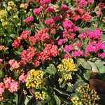 Donna Pollack - @donna.pollack.549 - Instagram