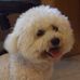 Donna Polverari - Facebook