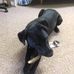 Dona Pomeroy - Facebook