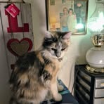 Donna Poole - Facebook