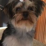 Donna Donaldson Posey - @posey_donna - Instagram