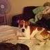 Donna Posey - Facebook