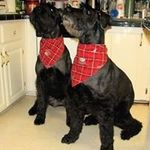 Donna Posey Wood - @donna.p.wood.9 - Instagram