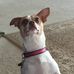 Donna Poteat - Facebook