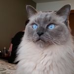 Donna Prince - @donna.prince.39545 - Instagram