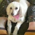 Donna Ashley Propst - @donnapropst47 - Instagram