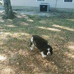 Donna Propst - @donna.propst - Instagram