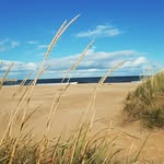 Donna Pullman - @donnapullman790 - Instagram