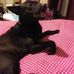 Donna Qualls - Facebook