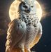 Donna Qualls - Facebook