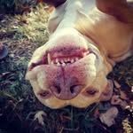 Donna Qualls - @nonnyfrom1974 - Instagram