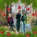 Donna Rader - @wolfie9171 - Instagram