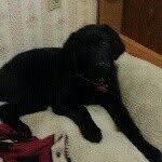 Donna Rader - @hugs2u2005 - Instagram