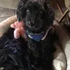 Donna Rader - @donna.rader0 - TikTok