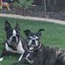 Donna Ragland - Facebook