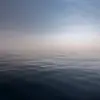 donnarains222 - @donnarains222 - TikTok