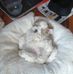 Donna Ralston - Facebook
