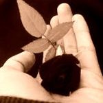 Donna Ralston - @bennettbrian262 - Instagram