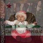 Donna Ralston Gillespie - @ralstongillespie - Instagram
