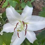 Donna Ralston Tipton - @1bankerlady - Instagram