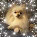 Donna Ramsay - Facebook