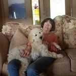 Donna Randall - @donnarandallartist - Instagram