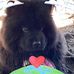 Donna Randall - Facebook