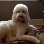 Donna Rapp - @donna.rapp.96 - Instagram