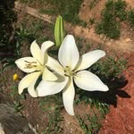Donna Ratcliff - @donnafratcliff - Instagram
