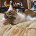 Donna Ratcliff - Facebook