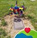 Donna Raymond - Facebook