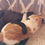 Donna Raymond - @donna.raymond.353 - Instagram