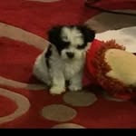 Donna Raymond - @donna.raymond.18 - Instagram