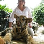 donna rayner - @donnarayner71 - Instagram