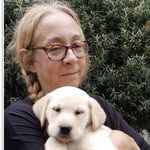 Donna Ramos Razza - @donnawysa - Instagram