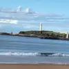Donna Razza - @donna.razza - TikTok