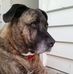 Donna Read - Facebook
