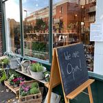 Donna Read - @threesistersldn - Instagram