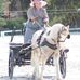 Donna Reader - Facebook