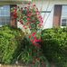Donna Ream - Facebook