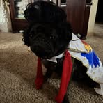 Donna Reczek Lynn - Facebook