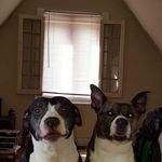 Donna Redd Griffiths - @donna.griffiths.798 - Instagram