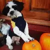 Donna Reece - @donna.reece7 - TikTok