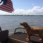 Donna Reece - @ridgeviewlabs01 - Instagram