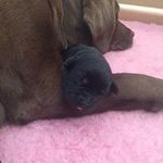 Donna Pamela Reeve - @donnareevegriffiths - Instagram