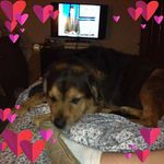 Donna Reeve - @donna.reeve.370 - Instagram