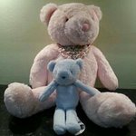 Donna Reeve - @reevedonna - Instagram