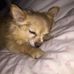 Donna Reeve - Facebook