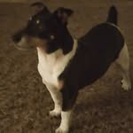Donna Regan - @donnaregan835 - Instagram
