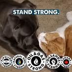 Donna Regnier - Facebook